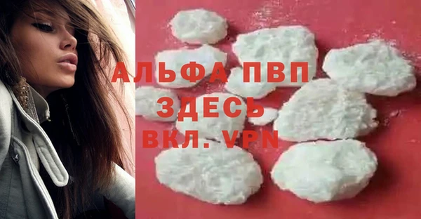 PSILOCYBIN Богданович