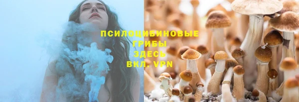 мет Мегион