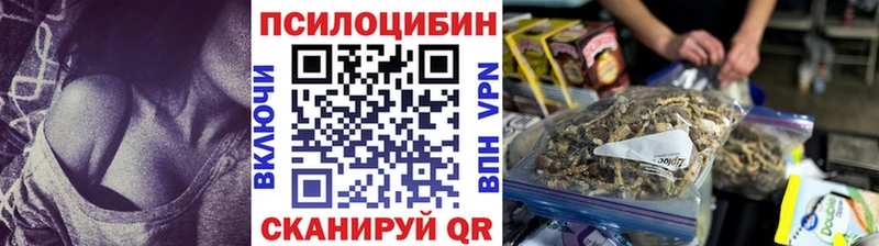 мега ссылка  Большой Камень  Галлюциногенные грибы Magic Shrooms 